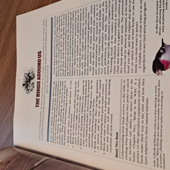 How to attract Birds/ BUNDLE ONLY 2or more items - Picture 4 of 16